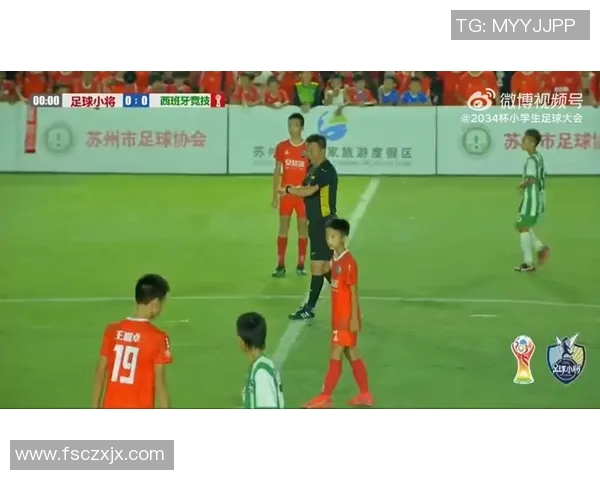 遗憾落幕的足球明星背后的故事与未竟的梦想